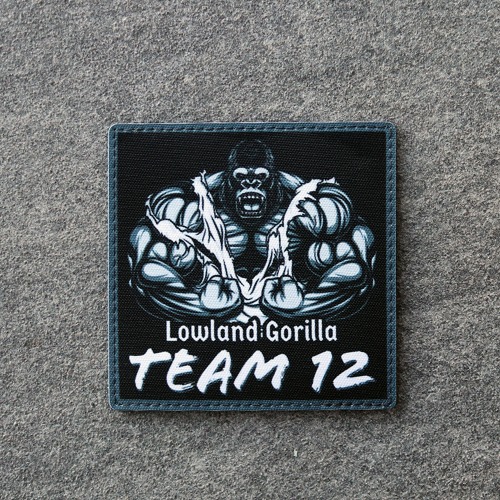 Lowland_Gorilla Team 12